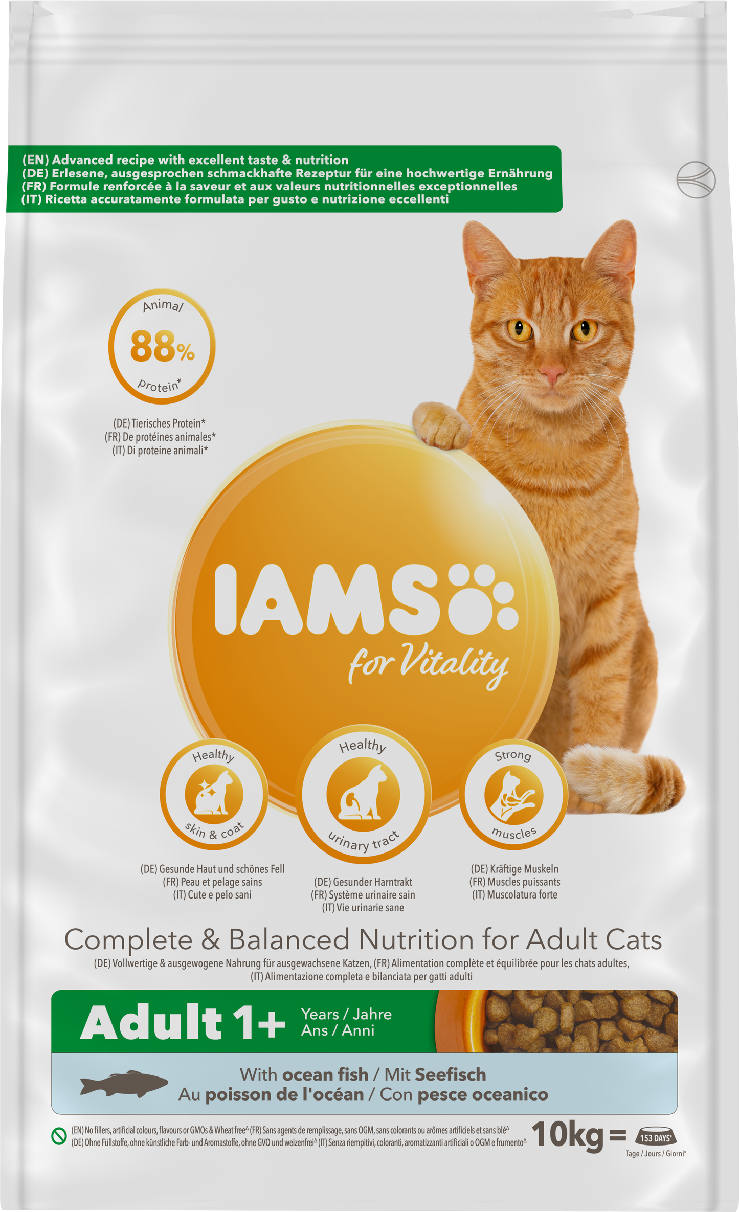 Iams Cat Adult Ocean Fish